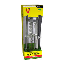 This is a combination of two methods used to rid yourself of moles. Victor Mole Trap At Menards