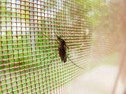 Hummeltopf keramik € 34 95. Insektenschutz So Kommen Die Plagegeister Nicht Ins Haus
