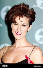 Dion celine hi-res stock photography and images