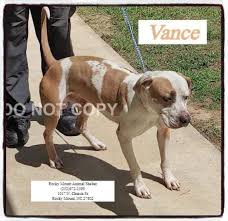 Pet asylum in brick, nj open now. All About Animals Nj Home Facebook