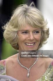 635 fotos e imagens de alta resolução de Camilla Smith