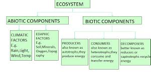 Evs Structure Of Ecosystem