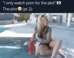 Only watch porn for the plot