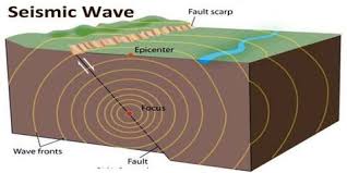 Seismic Wave Seismic Wave Seismic Longitudinal Wave