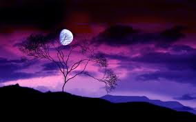 Oct 06, 2020 · tons of awesome purple cute halloween wallpapers to download for free. Free Download Cute Halloween Wallpapers Cute Wallpapers 2560x1600 For Your Desktop Mobile Tablet Explore 71 Cute Halloween Background Cute Halloween Desktop Wallpaper Cute Halloween Vampire Wallpaper