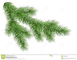 Illustration About Spruce Branch Isolated On White Background Green Fir Realistic C Realistic Christmas Trees Christmas Tree Painting Christmas Tree Branches