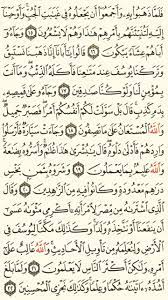 سورة يوسف الجزء الثاني عشر الصفحة 237 quran verses verses quran