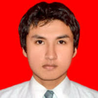 Nancy del C. Alchagueñin Parra