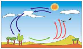 Resultado de imagen de el aire para niños de primaria