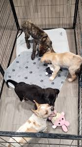 Griffin + Spalding Information Page