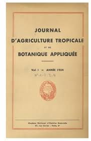 Image result for Trachypogon chevalieri