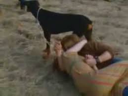 Öncelikle bu videoyu izleyiniz ve bitirdikten sonra aşağıdaki 5 adıma göre talimatları takip ediniz. L Isola Di Wight Dik Dik Accordi E Testo