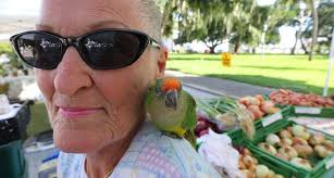 New Smyrna Beach Farmers Market