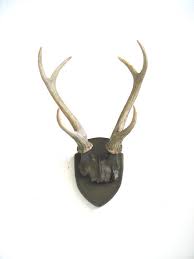 Amazing gallery of interior design and decorating ideas of decorative wall antlers in bedrooms, living rooms, dens/libraries/offices. Faux Antlers Plaque Wall Hanging Rustic Modern Wall Mount Wall Decor In Brown With Natural Looking Antlers Faux Antler Animal Head Wall Mount Painted Antlers