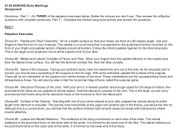 The medial malleolus is the prominence on the inner side of the ankle, formed by the lower end of the tibia. Chicken