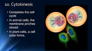 Maybe you would like to learn more about one of these? Lets Get Ready To Divide Ppt Download