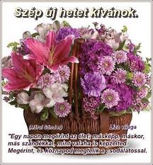 Day Week Week Week Week Week Week Week Week Week Fiducika Blogja 1 2 3 4 5 6 Evszakok Nyar Evsza Birthday Flower Delivery Flower Delivery Birthday Flowers
