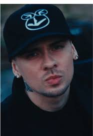 VANS MTE SK8 HI GORE-TEX: Protección y Estilo