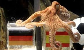 Paul The Octopus The Accidental Hero Tim Dowling Paul The Octopus Octopus Japan