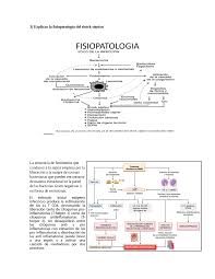 It's associated to the increasing Fisiopatologia Del Shock Septico Docsity