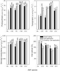Lee, lee & associates is a trademark law firm. Effects Of Arbuscular Mycorrhizal Fungi On Maize Growth Root Colonization And Root Exudates Varied With Inoculum And Application Method Springerlink