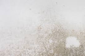 Getting rid of mold on unpainted drywall does not require any cleaning agent. How To Remove Mold On Drywall This Old House