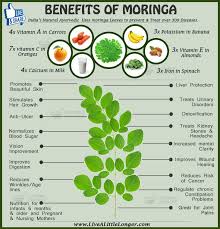 Benefits Of Moringa