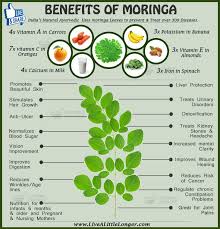 benefits of moringa