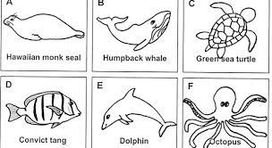 Supercoloring.com is a super fun for all ages: Kids Corner Hawaiian Islands Humpback Whale National Marine Sanctuaries
