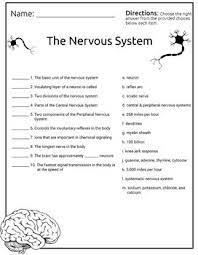 Trivia quizzes are a great way to work out your brain, maybe even learn something new. A Multiple Choice Quiz About The Nervous System Of Humans Covers The Basics Like Neurons Chemical Signaling Nerve Body Nervous System Nervous System Nervous