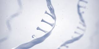 Curevac's current project is a coronavirus vaccine. Pharma Giant Gsk And Mrna Biotech Curevac Ink 1b Deal