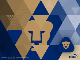 We have a massive amount of desktop and mobile backgrounds. Pumas Unam Wallpapers Wallpaper Cave