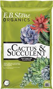 Avoid planting it in regular potting soil: Cactus Succulent Mix Eb Stone Son Inc