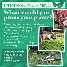 The technique to edge your lawn, garden, or flower bed using a plank of wood, simply lay the board flat, secure it with your foot, and drive a flat spade along one side. How To Sharpen Garden Shears Express Co Uk