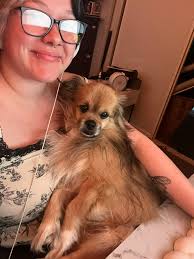 Upcoming storm in Mooroolbark area