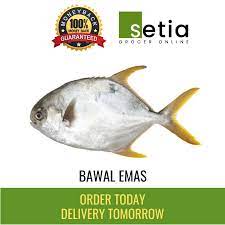 Need help for fish name in cantonese as below: Ikan Bawal Emas 1 Kg Setia Grocer Online