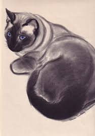 Black And White Siamese Cat Newberry Cat Painting Cats Illustration Cat Illustration