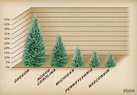 Check spelling or type a new query. North Carolina Christmas Trees Carolina Country