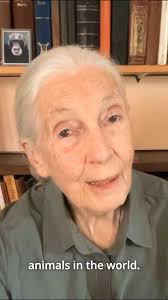 Dr. Jane Goodall