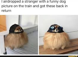 Airdrop genesiswould like to share a photo decline accept reddit. Funny Pictures To Airdrop