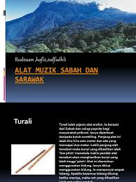 Sape merupakan alat musik tradisional suku dayak yang ada di pulau borneo (kalimantan, sabah dan serawak). Alat Muzik Sabah Dan Sarawak