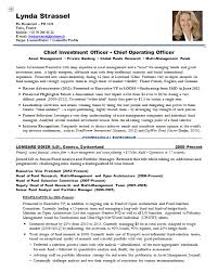 resume samples chief investment officer