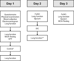 Image result for Lung Function Questionnaire