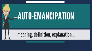 Emancipation is any effort to procure economic and social rights, political rights or equality, often for a specifically disenfranchised group, or more generally, in discussion of many matters. What Is Auto Emancipation What Does Auto Emancipation Mean Auto Emancipation Meaning Explanation Youtube