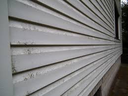 Maybe you would like to learn more about one of these? Hudson County Siding Contractor Jun S Pro Services