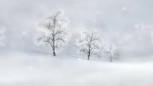 Winter Seasonal Landscape Evening Snowfall Nature Zoom Introduction Footage Render Stock Video C Adikk 216650818 Zoom background zoom nature pattern color red wallpaper blue flower white macro abstract texture beautiful green sky curtains season day fresh spring love petal. winter seasonal landscape evening