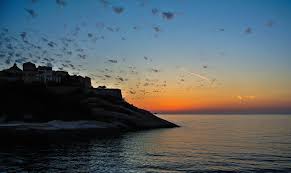 We did not find results for: Fond D Ecran Le Coucher Du Soleil Eau Rive Ciel Lever Du Soleil Calme Soir Matin Cote Soleil Horizon France Cap Crepuscule La Corse Nuage Aube Ocean Vague Calvi Sonnenuntergang Mittelmeer Frankreich
