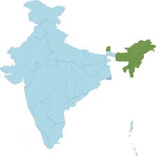 Image result for Acroceras zizanioides