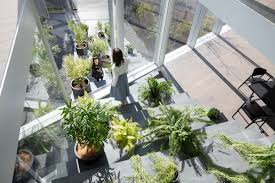 See more ideas about office plants, plants, indoor plants. Refresh Your Interior Design With Indoor Plants Urdesignmag