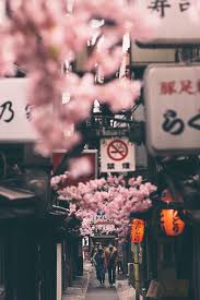 Pin By A Faith Tl On Photography Aesthetic Japan Japan Photography Japan Travel